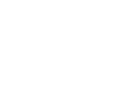 Brant Electric logo with lightning bolt design.